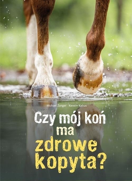<img src='https://webimage.pl/pics/517/7/d9788377637517.jpg'>