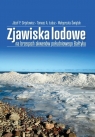 Zjawiska lodowe na brzegach akwenów południowego.. Józef P. Girjatowicz, Tomasz A. Łabuz, Małgorzata Karwowska