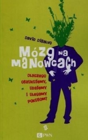 Mózg na manowcach