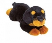 Rottweiler 35 cm leżący (12051) - <br />