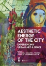 Aesthetic Energy of the City Experiencing Urban Art. And Space