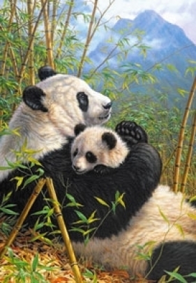 Puzzle 1000 Panda i jej dziecko CASTOR