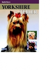 Yorkshire Terier