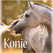 Kalendarz 2021 Ścienny Konie - praca zbiorowa