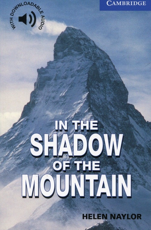 In the Shadow of the Mountain Level 5