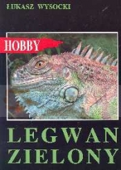 Legwan zielony - Łukasz Wysocki