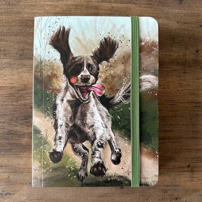 <img src='https://webimage.pl/pics/519/7/d5063187007519.jpg'>