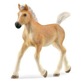 Schleich, Źrebię rasy haflinger (SLH13951)