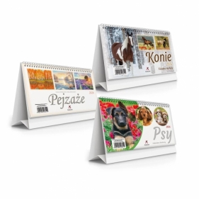 Kalendarz 2026 biurkowy stojący 19,5x11cm MIX