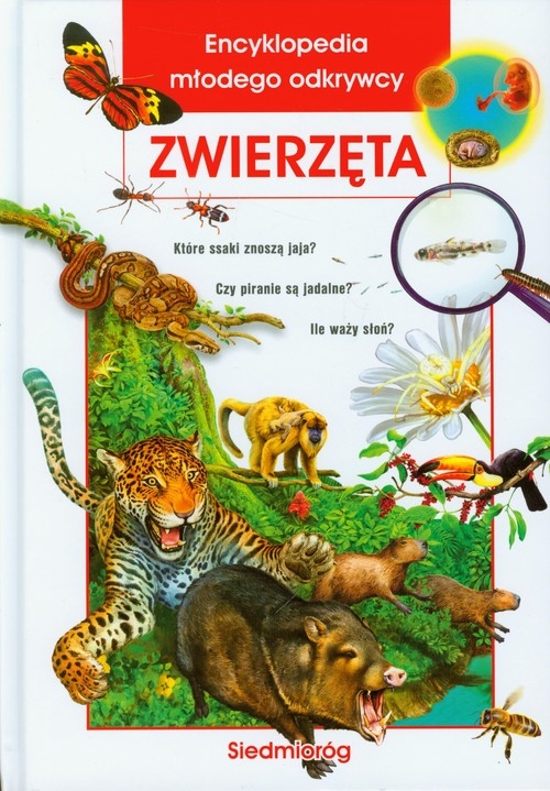 Encyklopedia młodego odkrywcy Zwierzęta