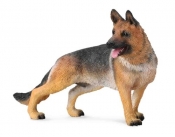 Pies Owczarek niemiecki (88552)