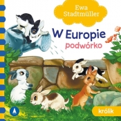 W Europie Podwórko Królik - Ewa Stadtmüller
