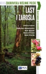 Zbiorowiska roślinne Polski Lasy i zarośla Ilustrowany przewodnik Opracowanie zbiorowe