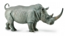 Nosorożec biały (88852)Wiek: 3+