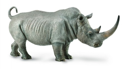 Nosorożec biały (88852)