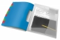 Teczka z przegródkami Esselte Vivida A4 kolor: mix 12 przegródek 266 x 320 (624030)