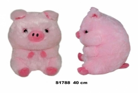 Świnka 40cm
