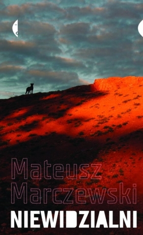 Niewidzialni - Marczewski Mateusz