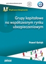 Grupy kapitałowe na współczesnym rynku ubezpieczeniowym Paweł Gołąb