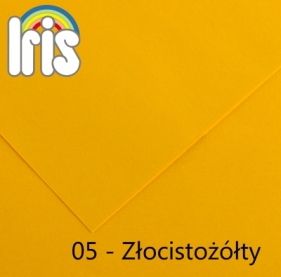 Karton kolorowy Canson (200040156) - Fila Polska
