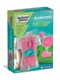 Naukowa Zabawa: Anatomia (50252)