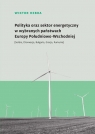 Polityka oraz sektor energetyczny w wybranych państwach Europy Wiktor Hebda