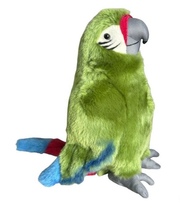 Papuga oliwkowa 28cm