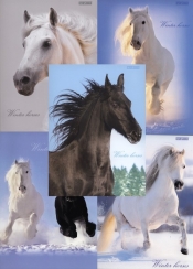 Zeszyt A5 Top-2000 w kratkę 60 kartek Winter Horses mix - <br />