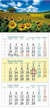 Kalendarz 2014 Słoneczniki - <br />