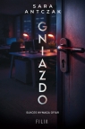 Gniazdo