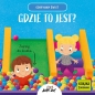 Odkrywam świat. Gdzie to jest? - Agnieszka Matz, Magdalena Młodnicka, Magdalena Młodnicka