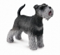 Schnauzer M