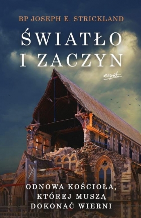 Światło i zaczyn - bp Strickland Joseph