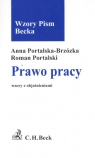 Prawo pracy Wzory z objaśnieniami Portalska-Brzózka Anna, Portalski Roman