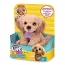  Little Live Pets - \