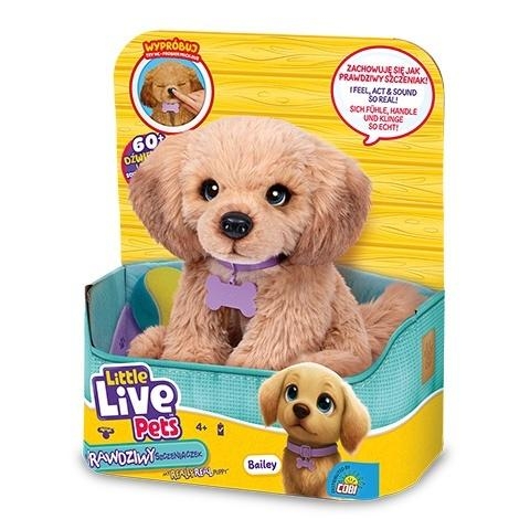 Little Live Pets - 