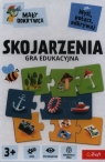  Skojarzenia Gra edukacyjna