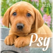 Kalendarz 2021 ścienny - Psy