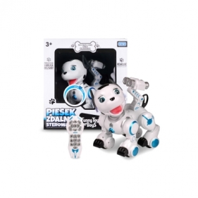 Robot Artyk piesek (130526)