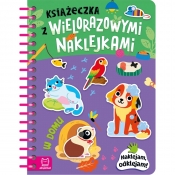 Książeczka z wielorazowymi naklejkami. W domu. Naklejam, odklejam! - Agnieszka Bator