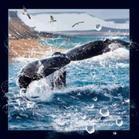 Magnes 3D - Ogon wieloryba