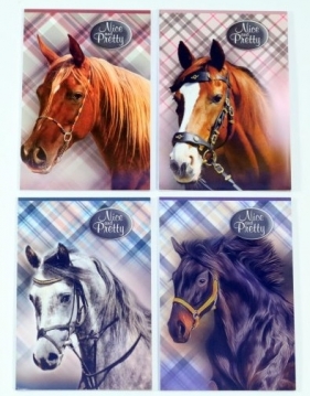 Notes A6/30 Nice & Pretty mix (607752)