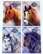 Notes A6/30 Nice & Pretty mix (607752)