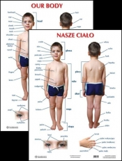 Plansza Nasze ciało Our body