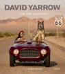 David Yarrow David Yarrow, Robert Redford