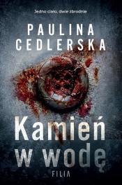 Kamień w wodę - Paulina Cedlerska