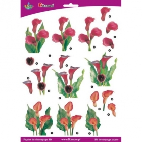 Papier 3d do decupage (363653)