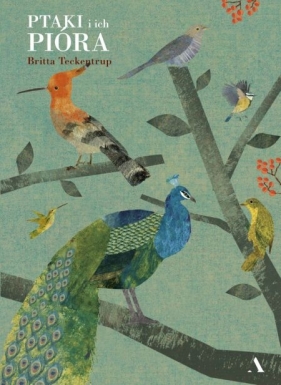 Ptaki i ich pióra - Teckentrup Britta