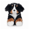 Maskotka Zoo  Pies berneński 23cm
