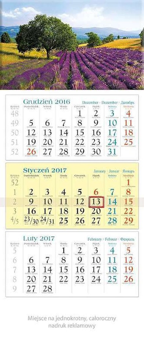 Kalendarz 2017 trójdzielny KT 12 Drzewo